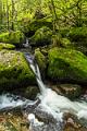 2017_09_24_Gorges de la Canche (0007)